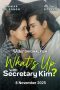 What's Up with Secretary Kim? (2025)