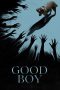 Good Boy (2025)
